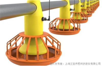 物聯(lián)網(wǎng)應用服務 連接萬物，智繪未來